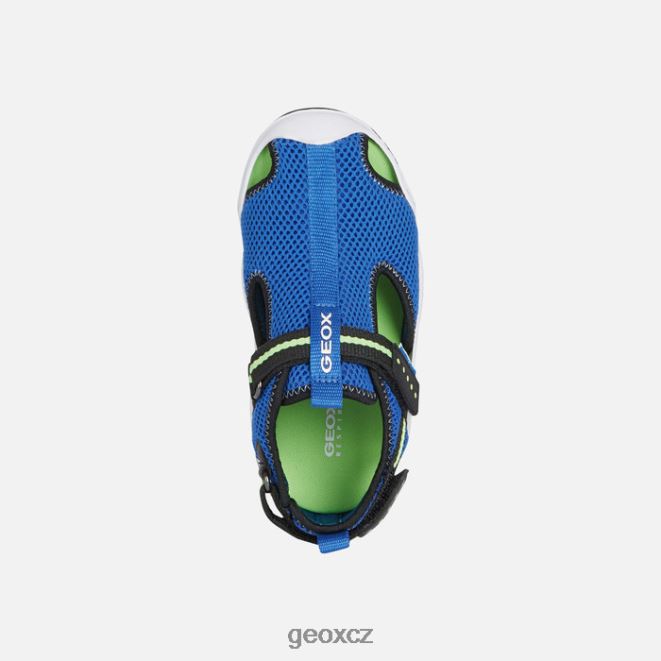 brodivý junior 4NH061348 královská/fluozelená Geox