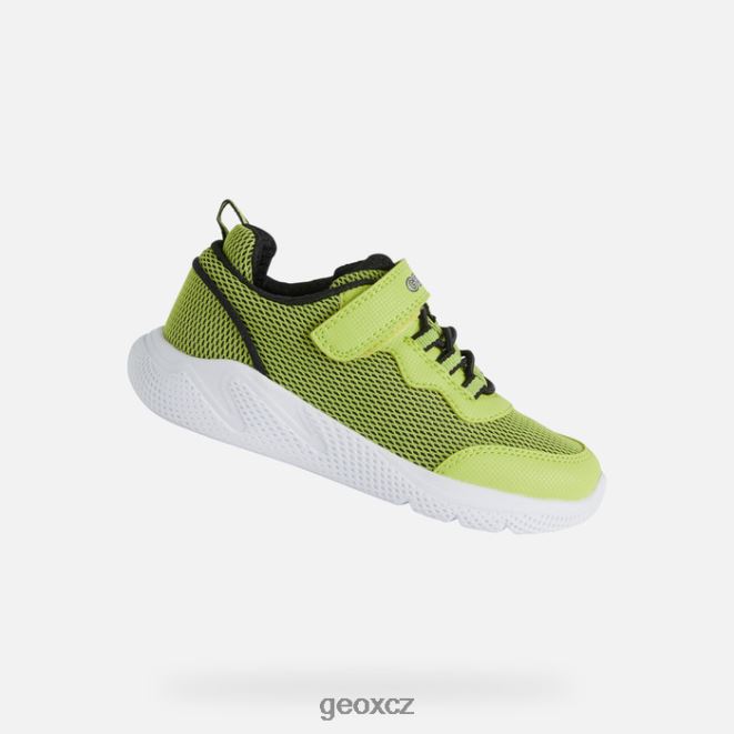 sprinter junior 4NH061351 limetková/černá Geox