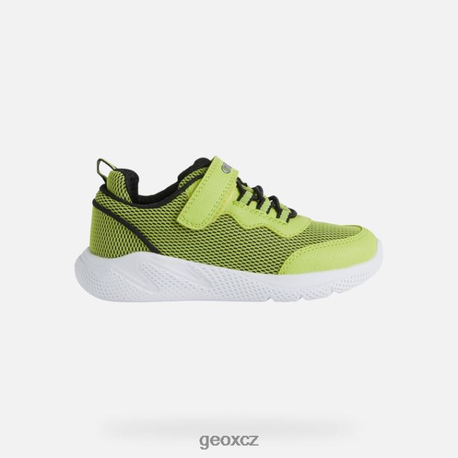 sprinter junior 4NH061351 limetková/černá Geox