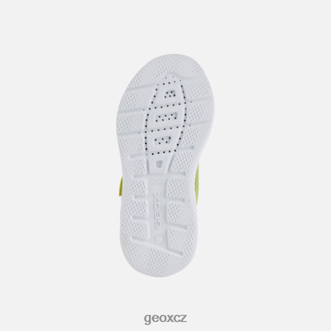 sprinter junior 4NH061351 limetková/černá Geox