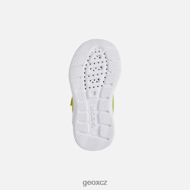 sprinterské dítě 4NH061464 limetková/černá Geox