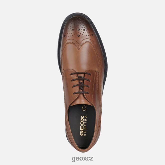 muž terence 4NH06916 světle hnědá Geox