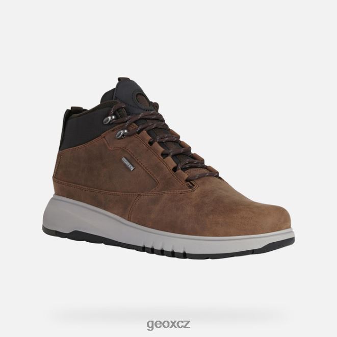 aerantis 4x4 abx man 4NH06827 káva Geox