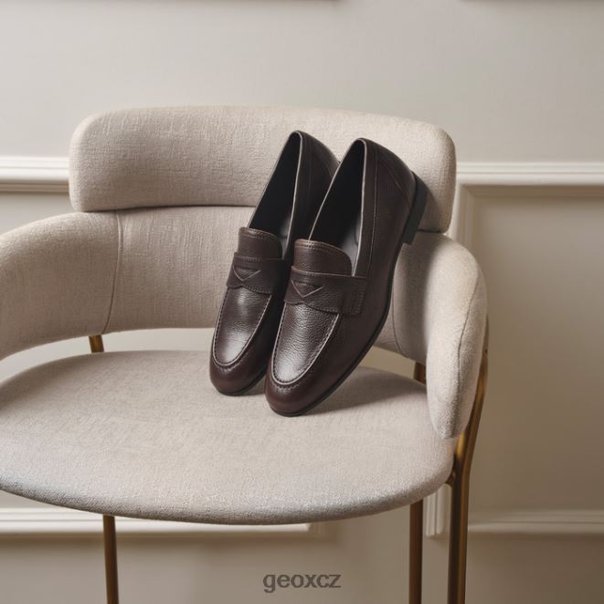 sapienza muž 4NH06741 tmavě hnědá Geox