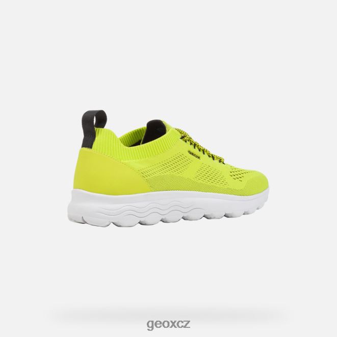 sférický muž 4NH061802 fluo zelená/černá Geox