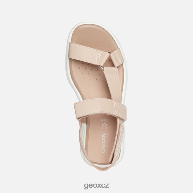 spherica ec5w žena 4NH06127 akt Geox