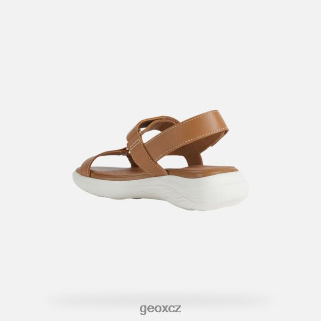 spherica ec5w žena 4NH0638 velbloud Geox