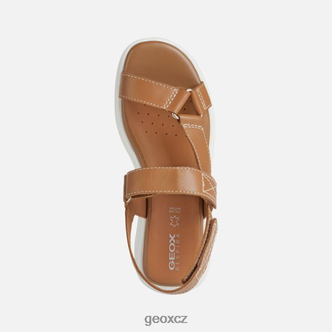 spherica ec5w žena 4NH0638 velbloud Geox