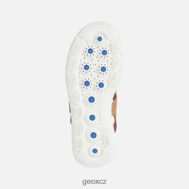 spherica ec5w žena 4NH0638 velbloud Geox