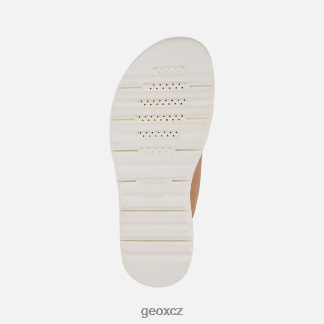 xand 2.1s žena 4NH06556 velbloud Geox